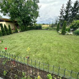 PAWEŁ PASZKOWICZ Rad Nelia - Trawnik z rolki