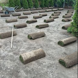 Trawa z rolki Szczecin 4