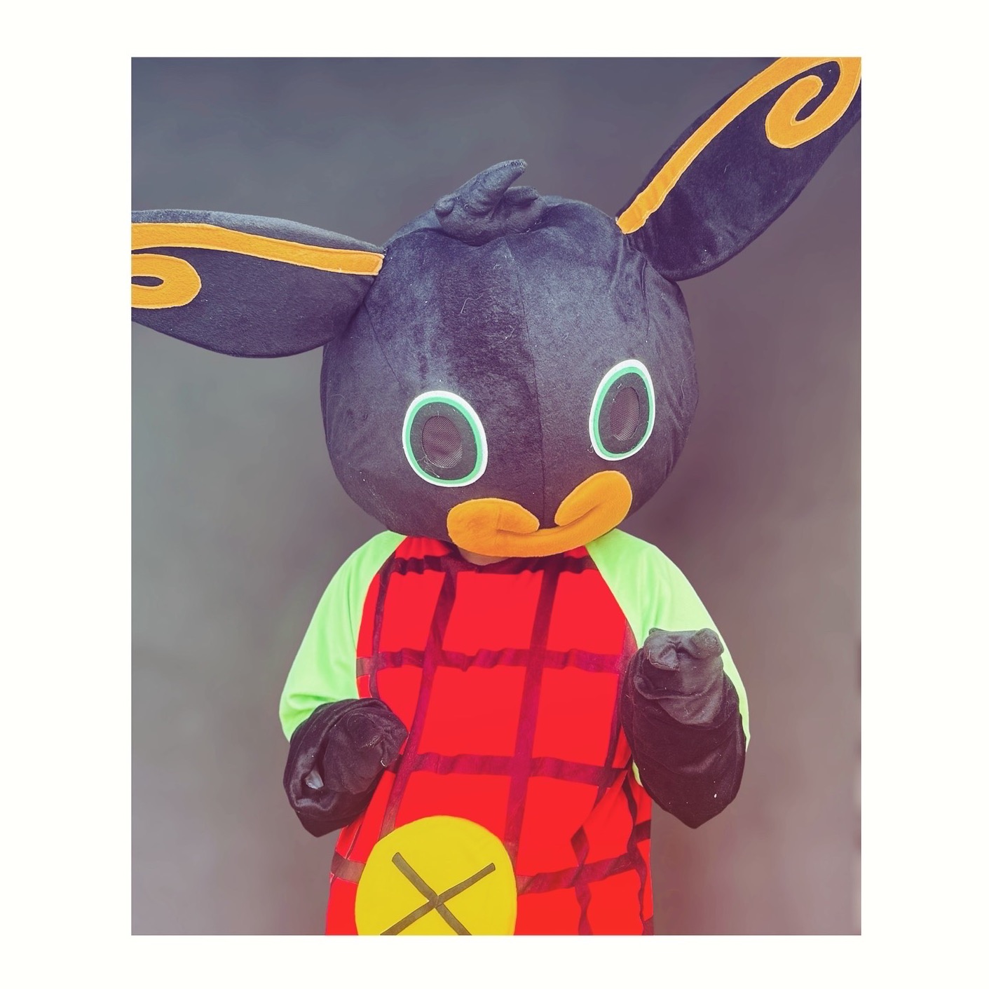 Kadr przedstawia maskotkę Binga, z czarną głową, pomarańczowym dziobem, zielonymi oczami i czerwono-zielonym strojem, stojącą na tle szarej ściany.