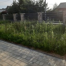 B G DOT Paweł Zieleziński - Przed koszeniem 1