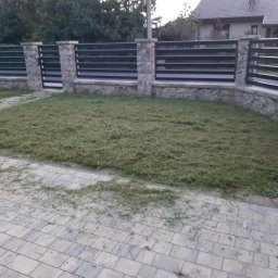 B G DOT Paweł Zieleziński - Po koszeniu 1