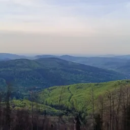 Rozległy widok na zalesione wzg&oacute;rza i doliny w porannym świetle, widoczne nagie drzewa na pierwszym planie.