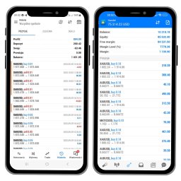 Po prawej: portfel klienta z tygodniowym zyskiem +894€ (udany tydzień!). Po lewej: mój prywatny, ryzykowny, agresywny, zdywersyfikowany portfel.