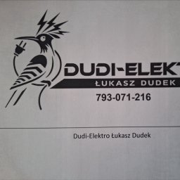 DUDI-ELEKTRO ŁUKASZ DUDEK - Doskonałe Oświetlenie Salonu Ruda Śląska