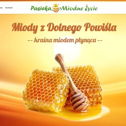 Tworzenie sklepów internetowych Susz 2