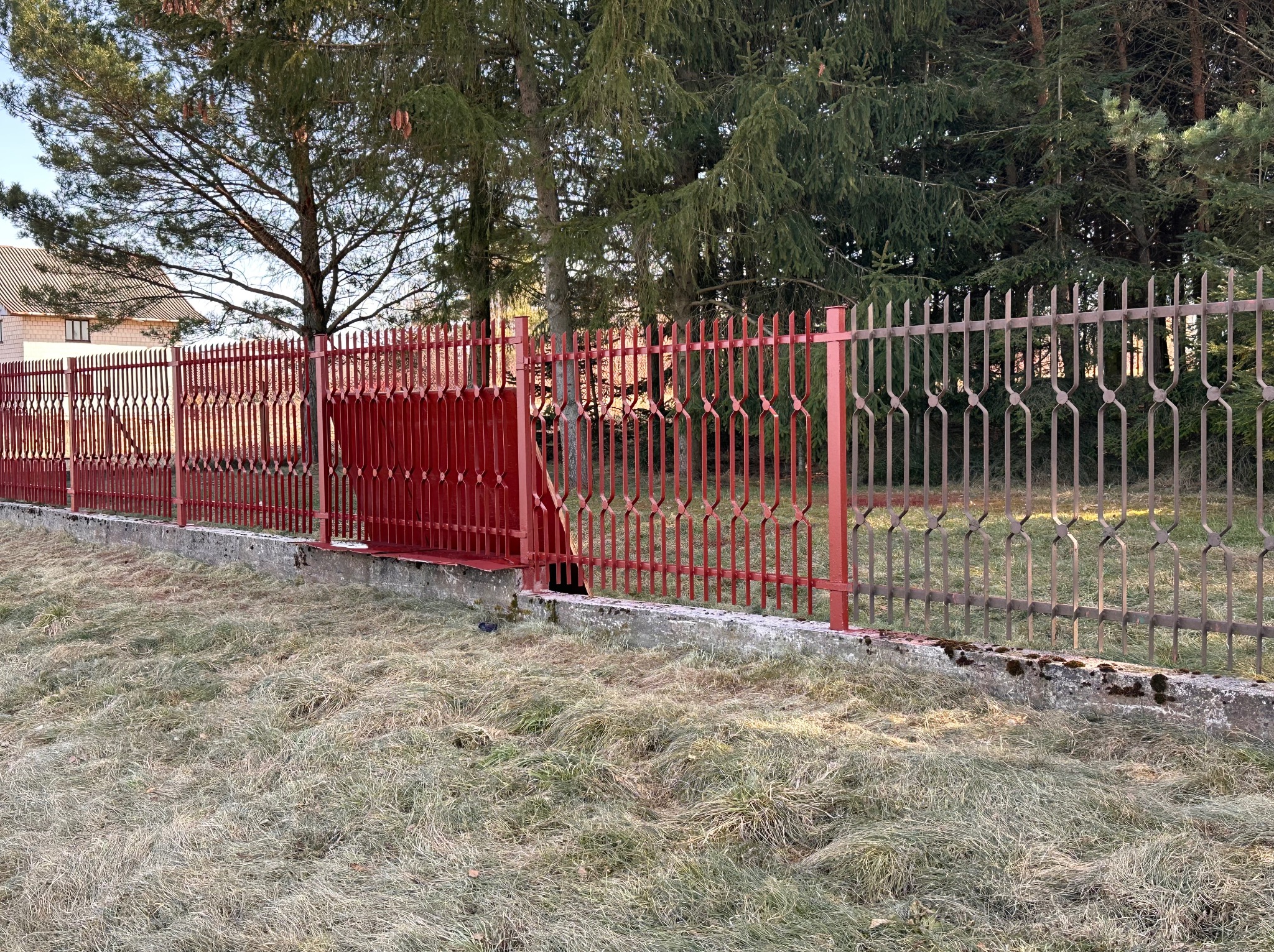 Odnowiony, pomalowany na czerwono metalowy płot z bramką, osadzony na betonowej podmurówce, z widocznymi śladami mchu i porostów, otoczony suchą trawą i drzewami.