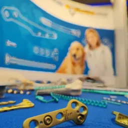 Złota płytka kostna z otworami i śrubami na niebieskim tle, z innymi elementami ortopedycznymi i plakatem z lekarzem i psem w tle.