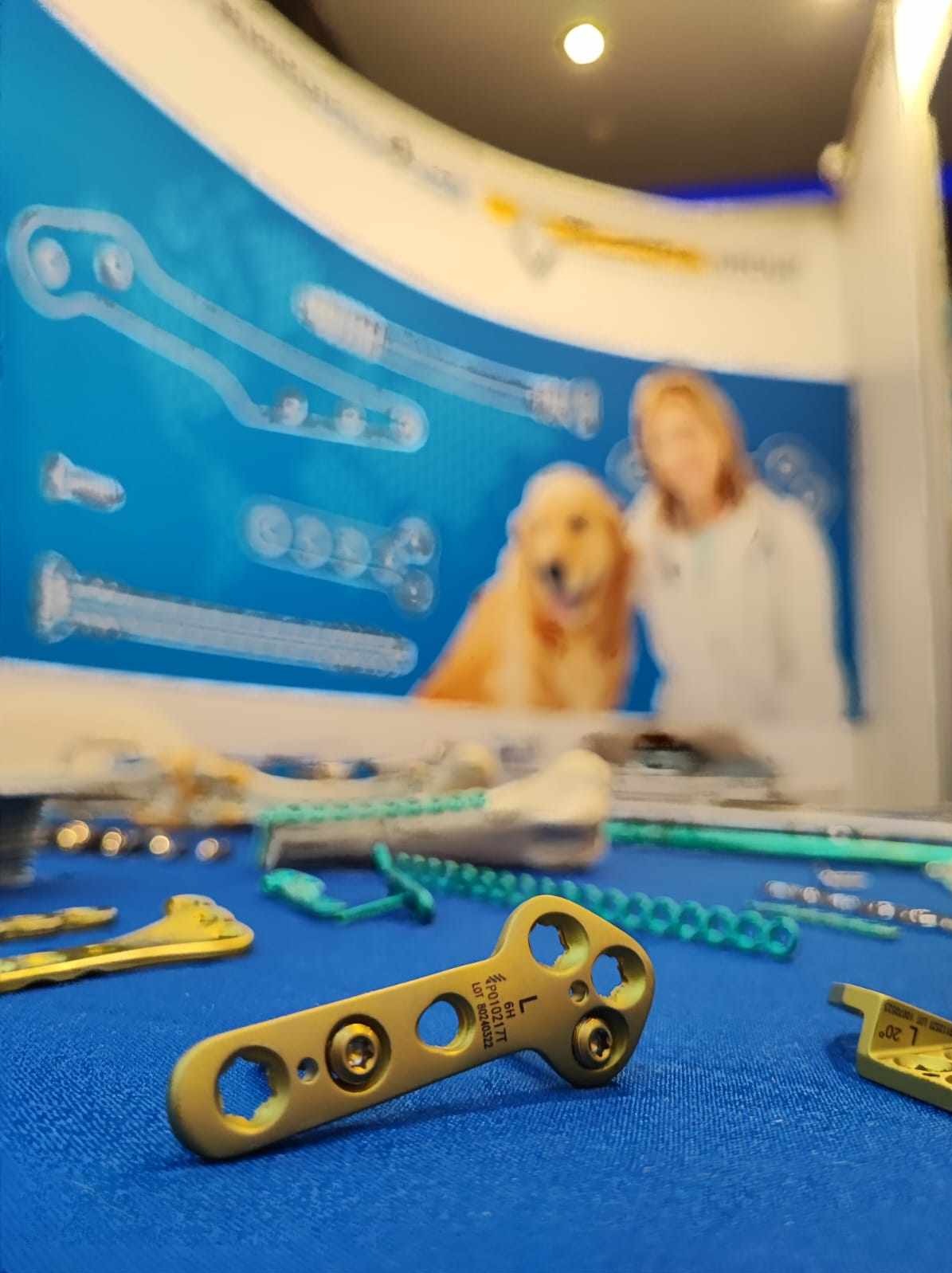 Złota płytka kostna z otworami i śrubami na niebieskim tle, z innymi elementami ortopedycznymi i plakatem z lekarzem i psem w tle.