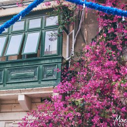 Maciej Ziętarski - Zielony balkon z otwartymi oknami, porośnięty kwitnącą bugenwillą, udekorowany niebieską girlandą. Widoczne detale architektoniczne budynku.
