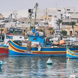 Maciej Ziętarski - Kolorowe łodzie rybackie z nazwami VLT MFA 89, VLT MA 50 i JESUS zacumowane w porcie na tle zabudowy miejskiej i palm.