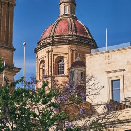 Maciej Ziętarski - Katedra z czerwoną kopułą, sfotografowana z dołu, z kwitnącym drzewem na pierwszym planie, na tle błękitnego nieba.