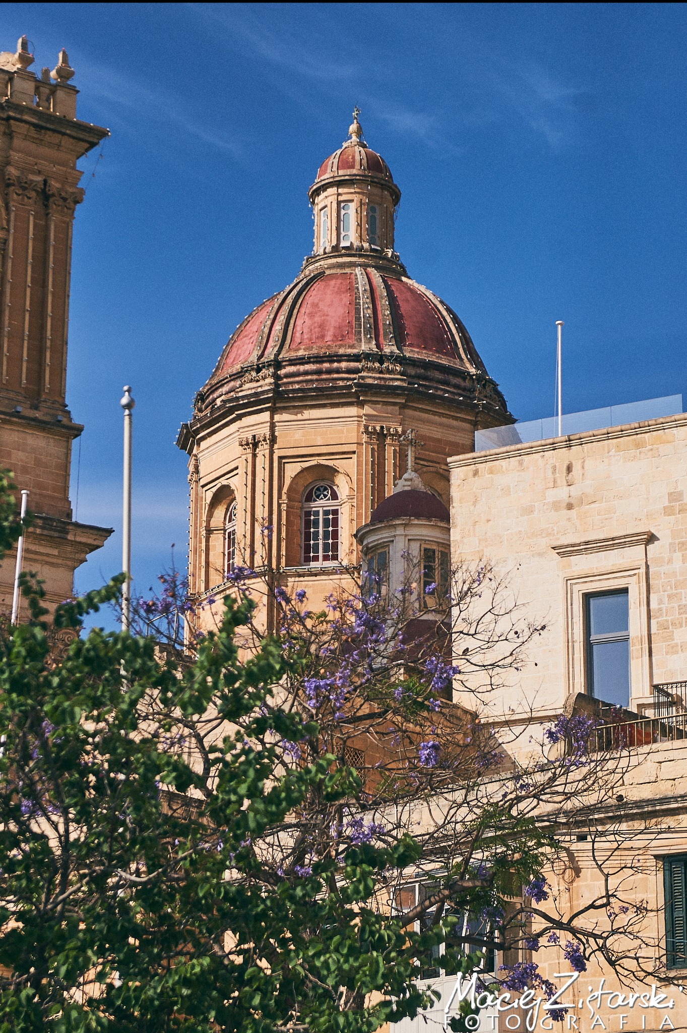 Katedra z czerwoną kopułą, sfotografowana z dołu, z kwitnącym drzewem na pierwszym planie, na tle błękitnego nieba.