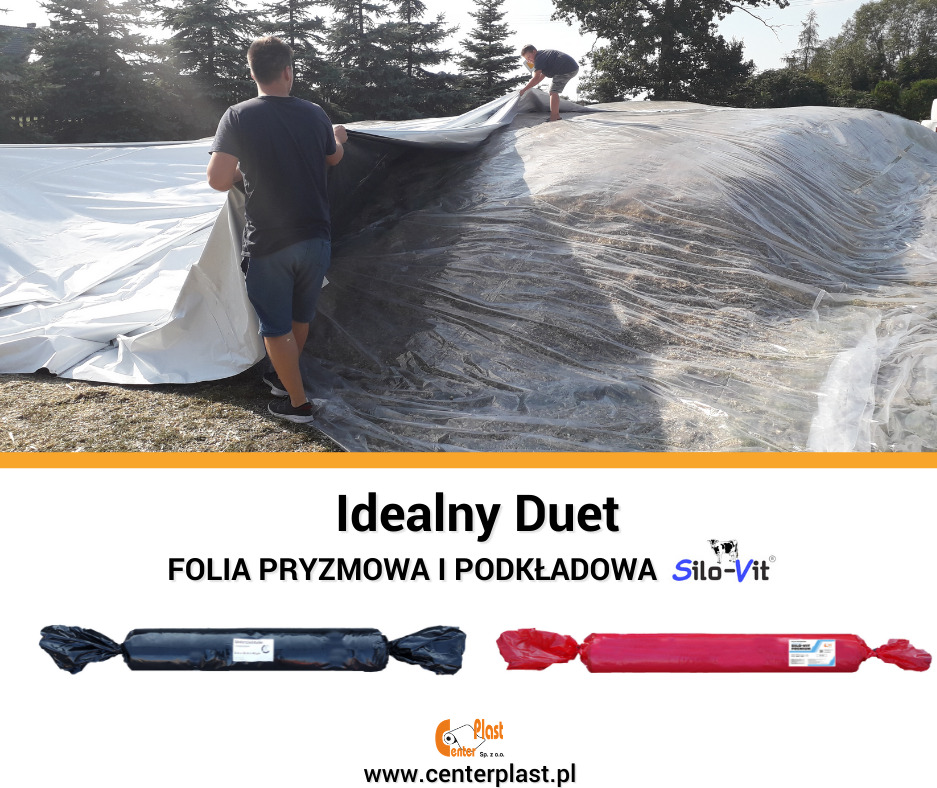 Dwaj mężczyźni rozkładają białą i przezroczystą folię na pryzmie z sianokiszonką, widoczny krajobraz polny i drzewa w tle.