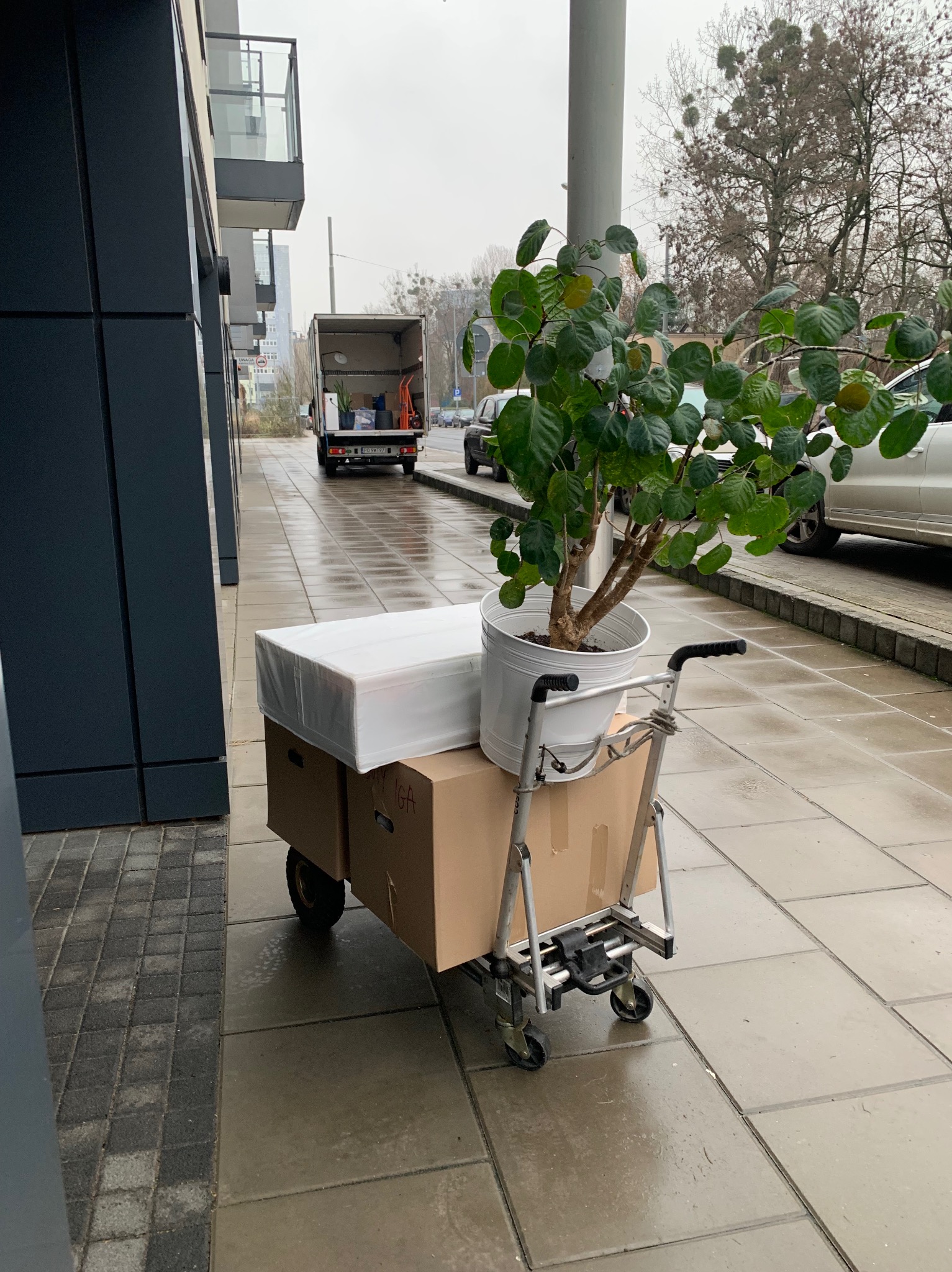 Wózek transportowy z kartonami i doniczką z rośliną przed budynkiem mieszkalnym, na tle zaparkowany samochód dostawczy z otwartymi drzwiami.