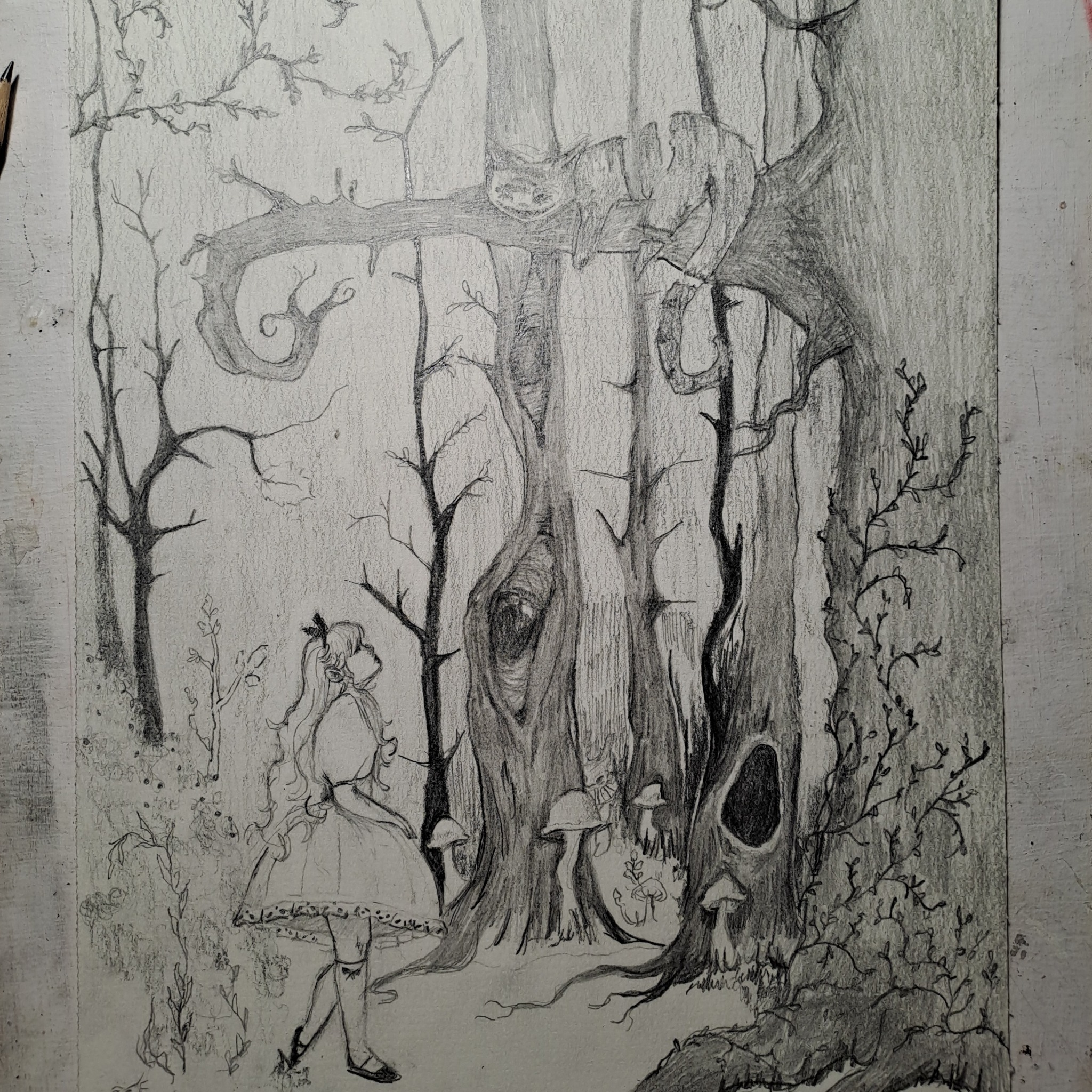 Ołówkowy rysunek przedstawiający dziewczynkę w stylu Alicji w Krainie Czarów, stojącą w lesie z grzybami, a na drzewie uśmiechnięty kot z Cheshire.