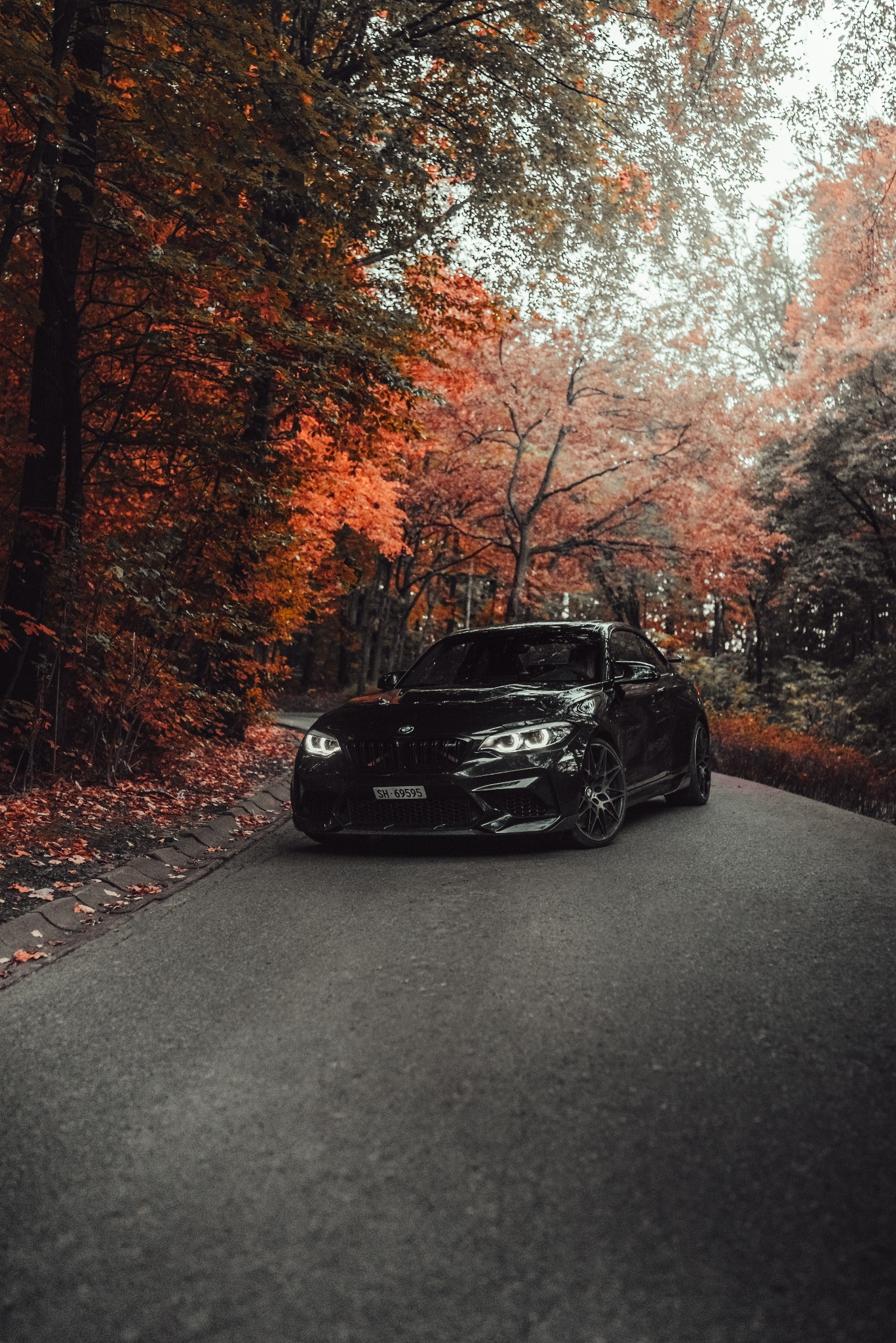 Czarny samochód sportowy BMW M2 Competition na asfaltowej drodze w jesiennym lesie z pomarańczowymi liśćmi.