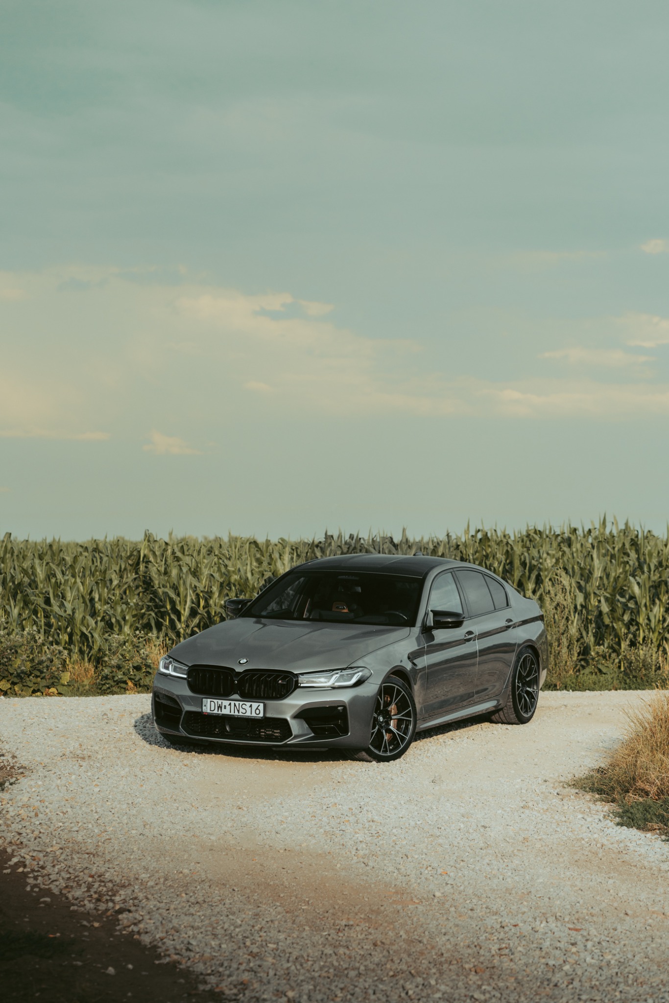 Szary samochód BMW M5 na żwirowej drodze z polem kukurydzy w tle, widok z przodu i z boku, tablica rejestracyjna DW 1NS16.