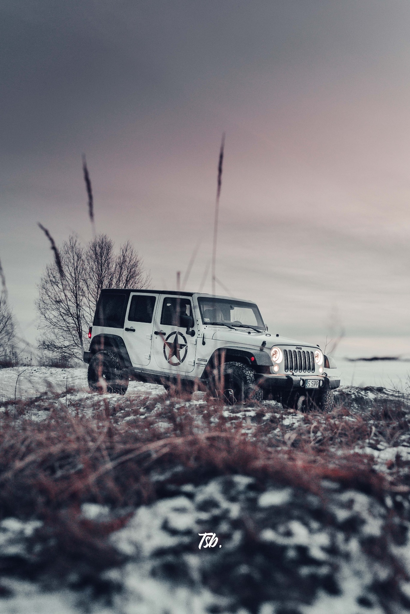 Biały Jeep Wrangler z czarnym dachem i gwiazdą na drzwiach, stojący na zaśnieżonym wzgórzu, w tle drzewo bez liści i pochmurne niebo.