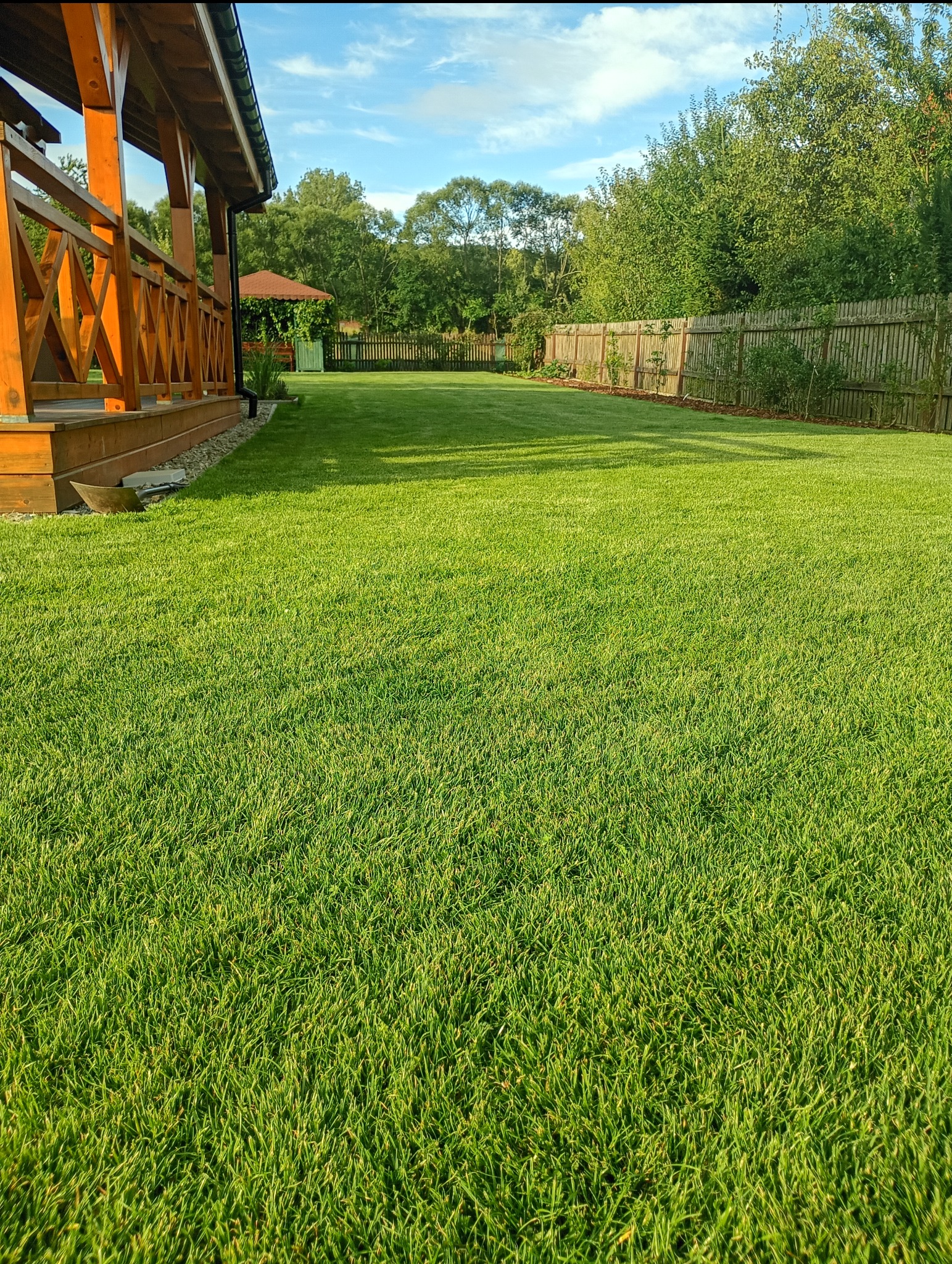 Idealnie skoszony trawnik z drewnianą altaną w tle, obrzeża z kory, ogrodzenie drewniane. Zieleń trawy intensywna i jednolita, równomierne oświetlenie.