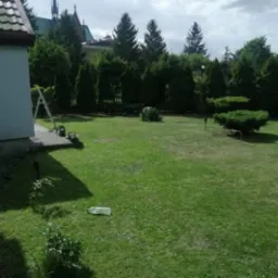 Ocieplony budynek z drabina oparta o ścianę; przygotowania do prac elewacyjnych na tle zielonego ogrodu z widoczną wieżą kościoła.