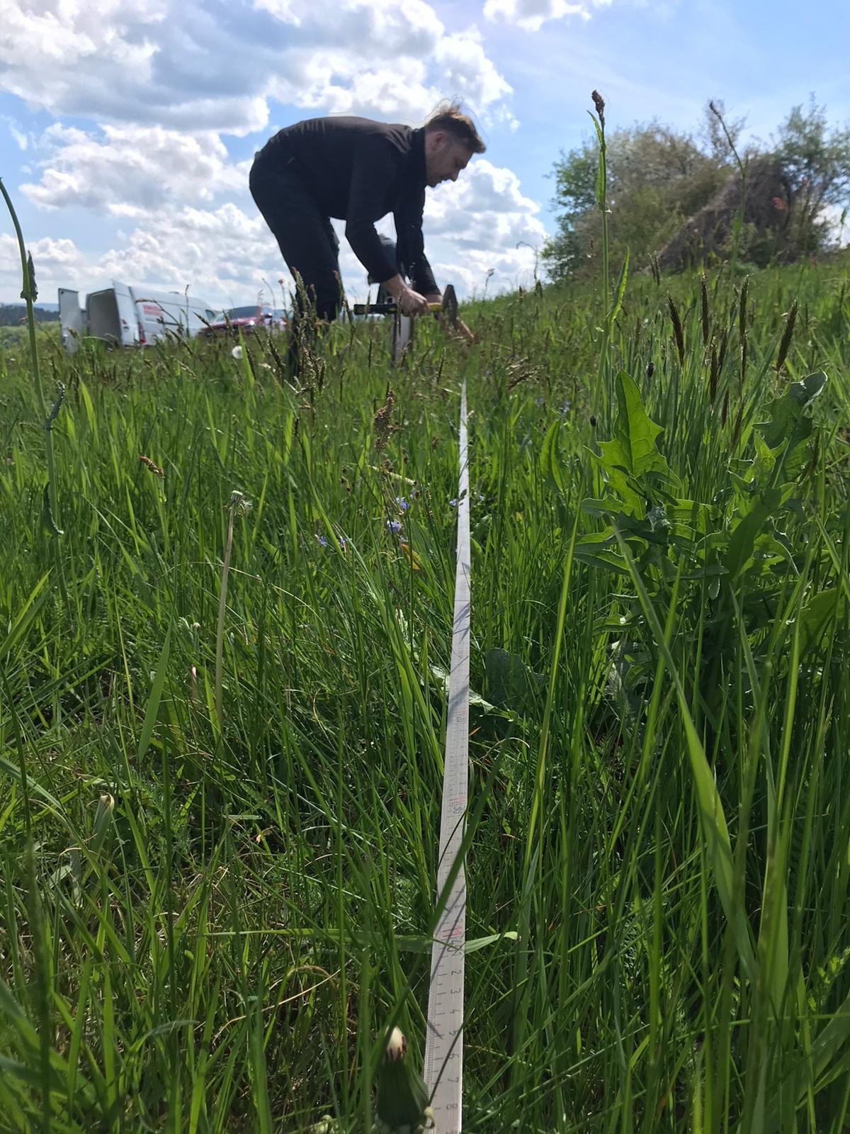 Pomiar terenu z użyciem taśmy mierniczej w wysokiej trawie, widoczny pracownik w ciemnym ubraniu i sprzęt pomiarowy, w tle błękitne niebo z chmurami i częściowo zaparkowany biały samochód.