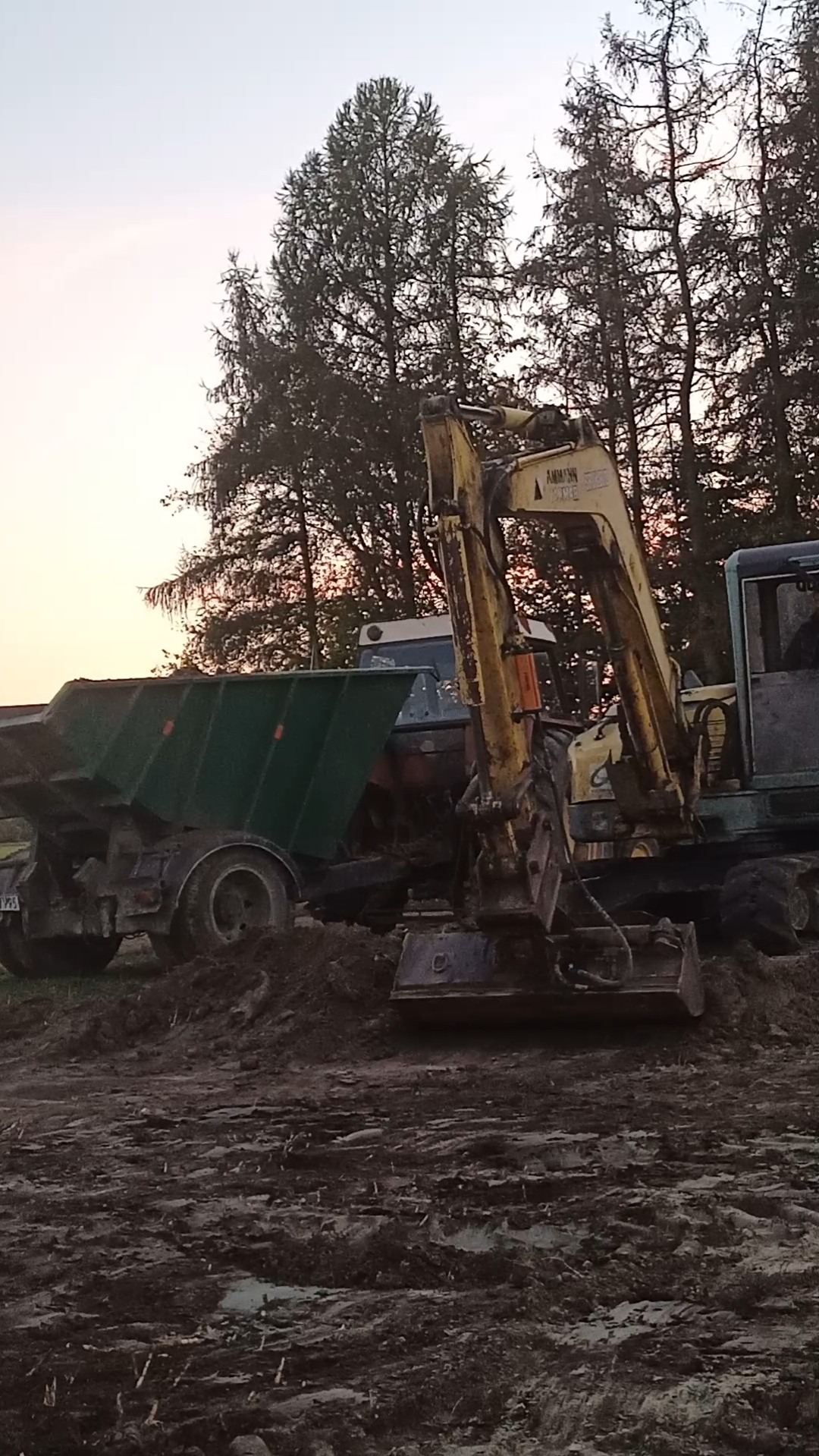 Żółta koparka Ammann i zielona wywrotka na placu budowy, widoczne drzewa w tle podczas zachodu słońca.