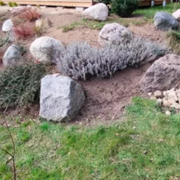 Aranżacja skalniaka z dużymi kamieniami, niskimi krzewami i trawami ozdobnymi na zboczu, z widoczną ściółką i elementami drewnianej konstrukcji w tle.