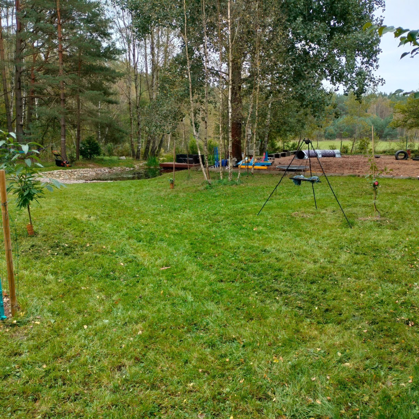 Rozległy trawnik po świeżym koszeniu z widocznymi śladami trawy, w tle staw, drzewa liściaste i iglaste, oraz elementy placu zabaw.