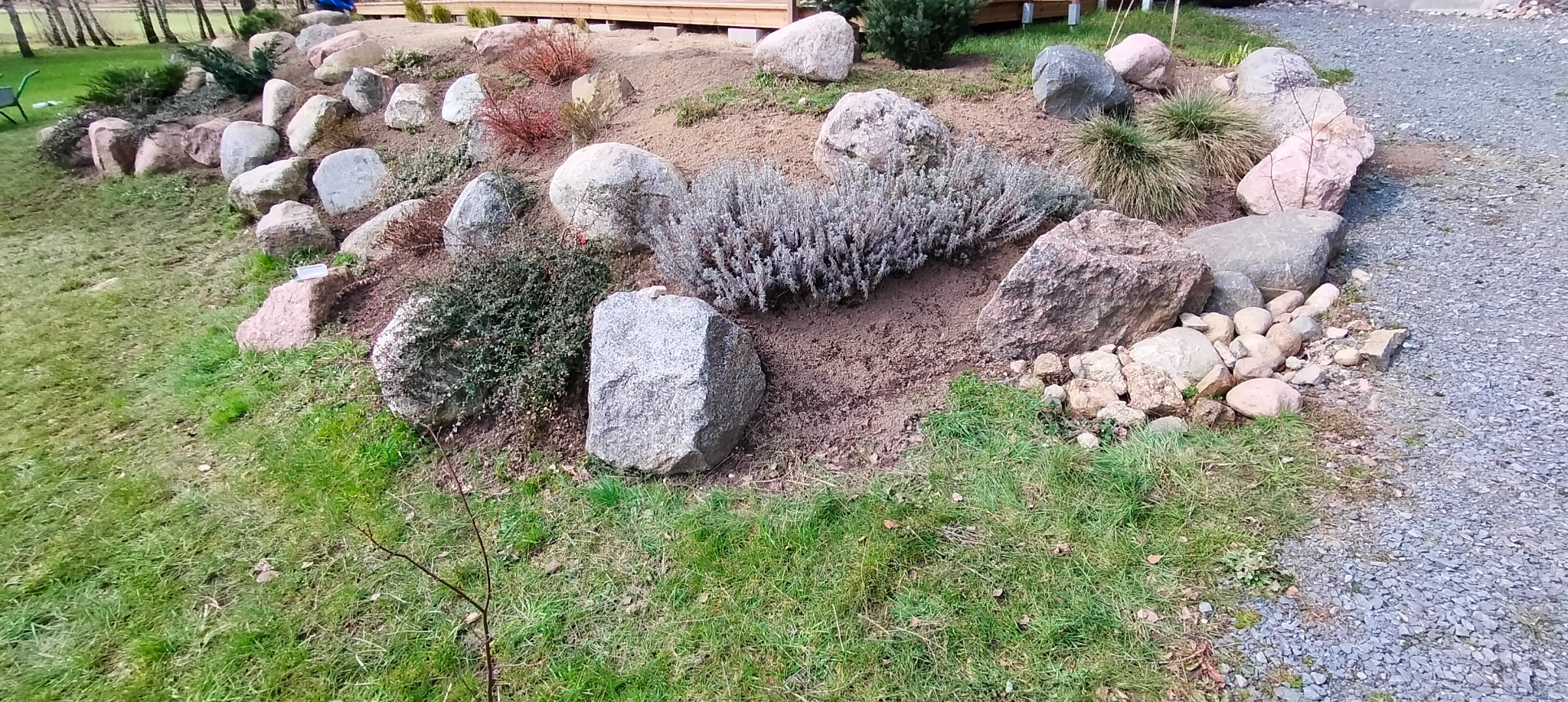 Aranżacja skalniaka z dużymi kamieniami, niskimi krzewami i trawami ozdobnymi na zboczu, z widoczną ściółką i elementami drewnianej konstrukcji w tle.