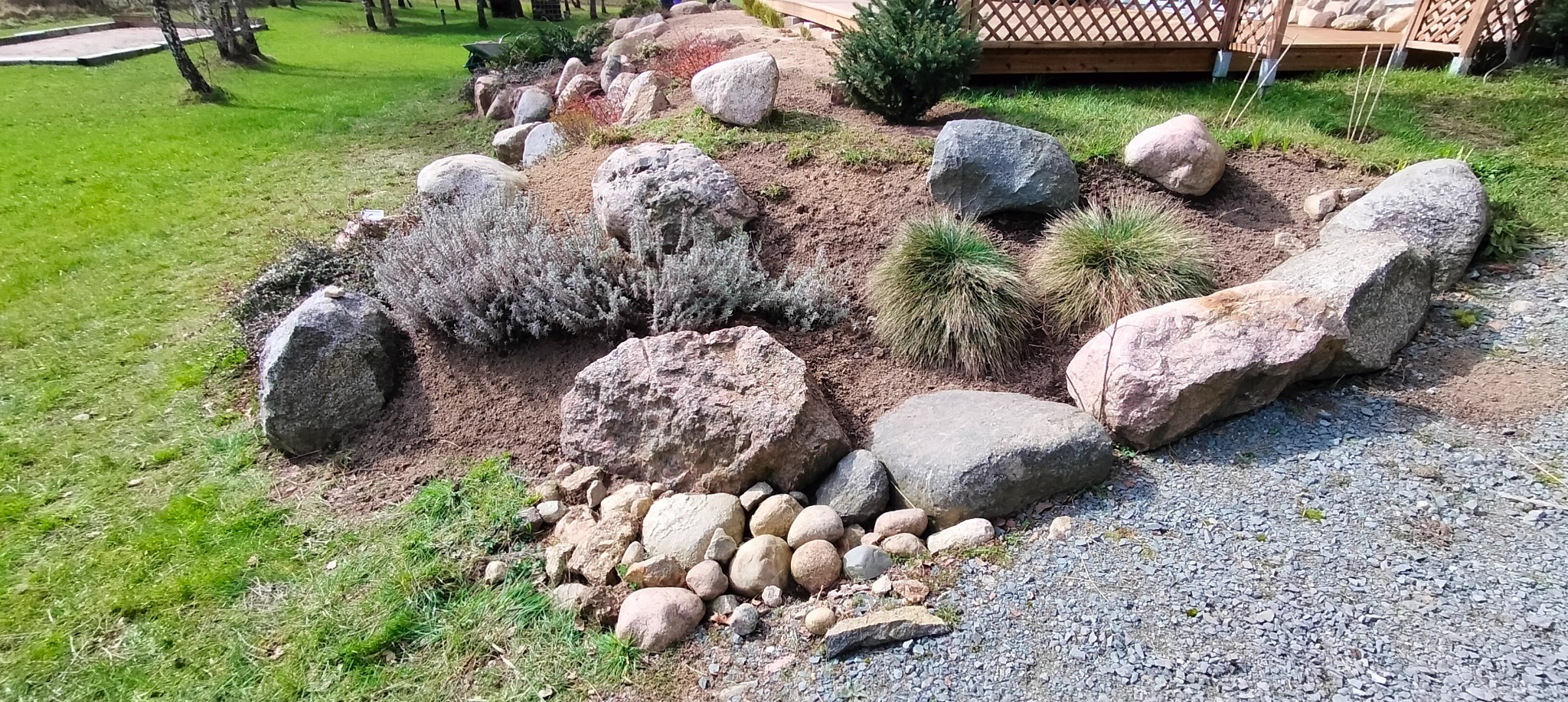 Aranżacja skalniaka z dużymi i małymi kamieniami, niskimi krzewami i trawami ozdobnymi na wzgórzu z ziemi, obok ścieżka z drobnego żwiru.