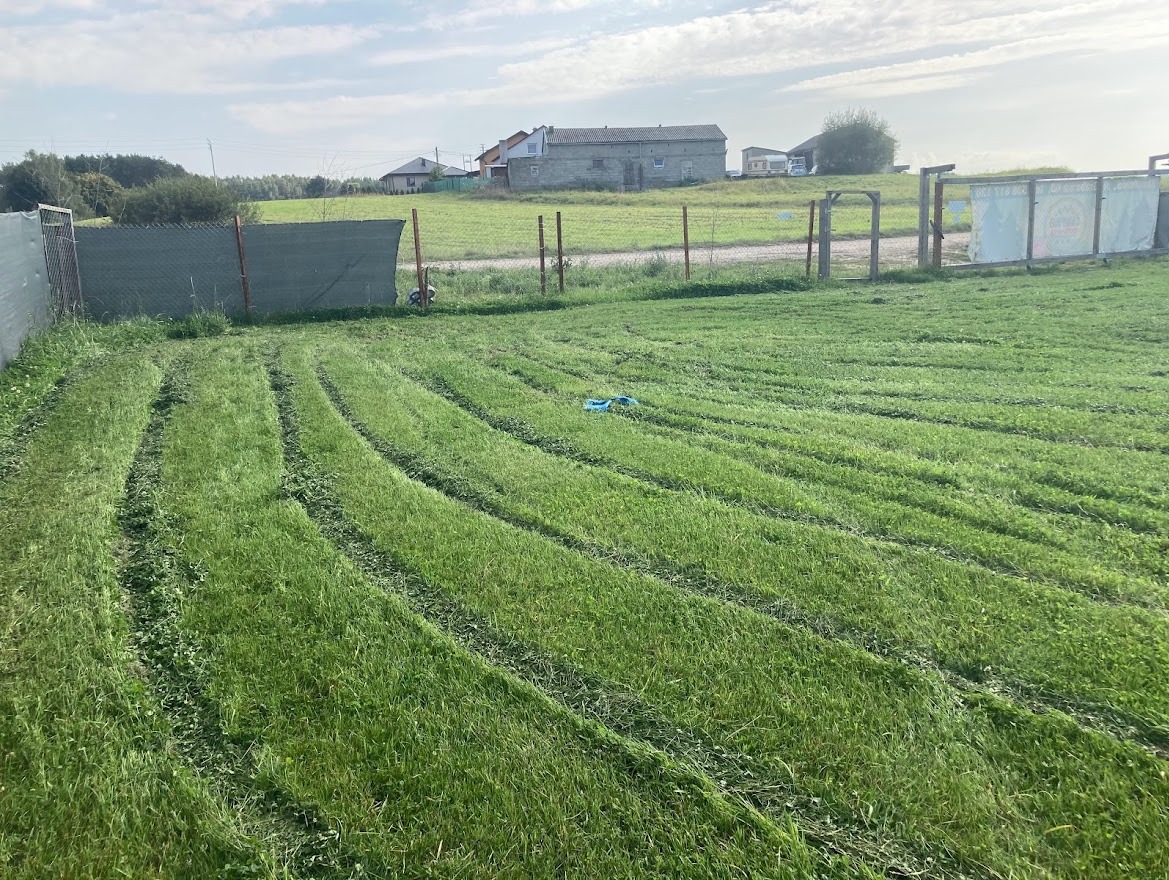 Świeżo skoszone, zielone pole trawy z widocznymi pasami po kosiarce, ogrodzenie z siatki w tle i budynki gospodarcze w oddali.