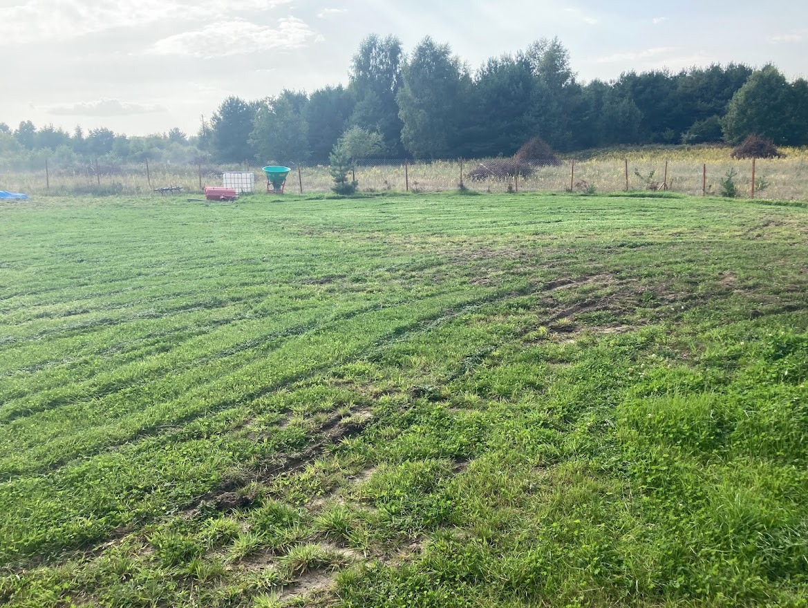 Świeżo założony trawnik z widocznymi śladami po maszynach, teren ogrodzony siatką, w tle las.
