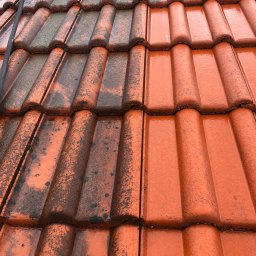 Profesjonalne czyszczenie elewacji budynków, dachów oraz kostki brukowej, Mateusz Leniar - Częściowo umyty dach z czerwonej dachówki ceramicznej, widoczna różnica między czystą a zabrudzoną powierzchnią, mokra powierzchnia po myciu.
