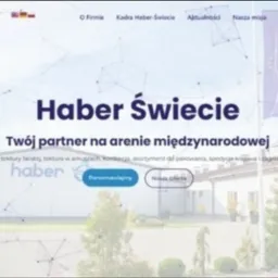 Zrzut ekranu strony internetowej firmy Haber Świecie, prezentujący jej nowoczesny design z motywem połączeń sieciowych, logo w lewym górnym rogu, hasło 'Twój partner na arenie międzynarodowej'...