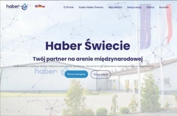 Zrzut ekranu strony internetowej firmy Haber Świecie, prezentujący jej nowoczesny design z motywem połączeń sieciowych, logo w lewym górnym rogu, hasło 'Twój partner na arenie międzynarodowej'...