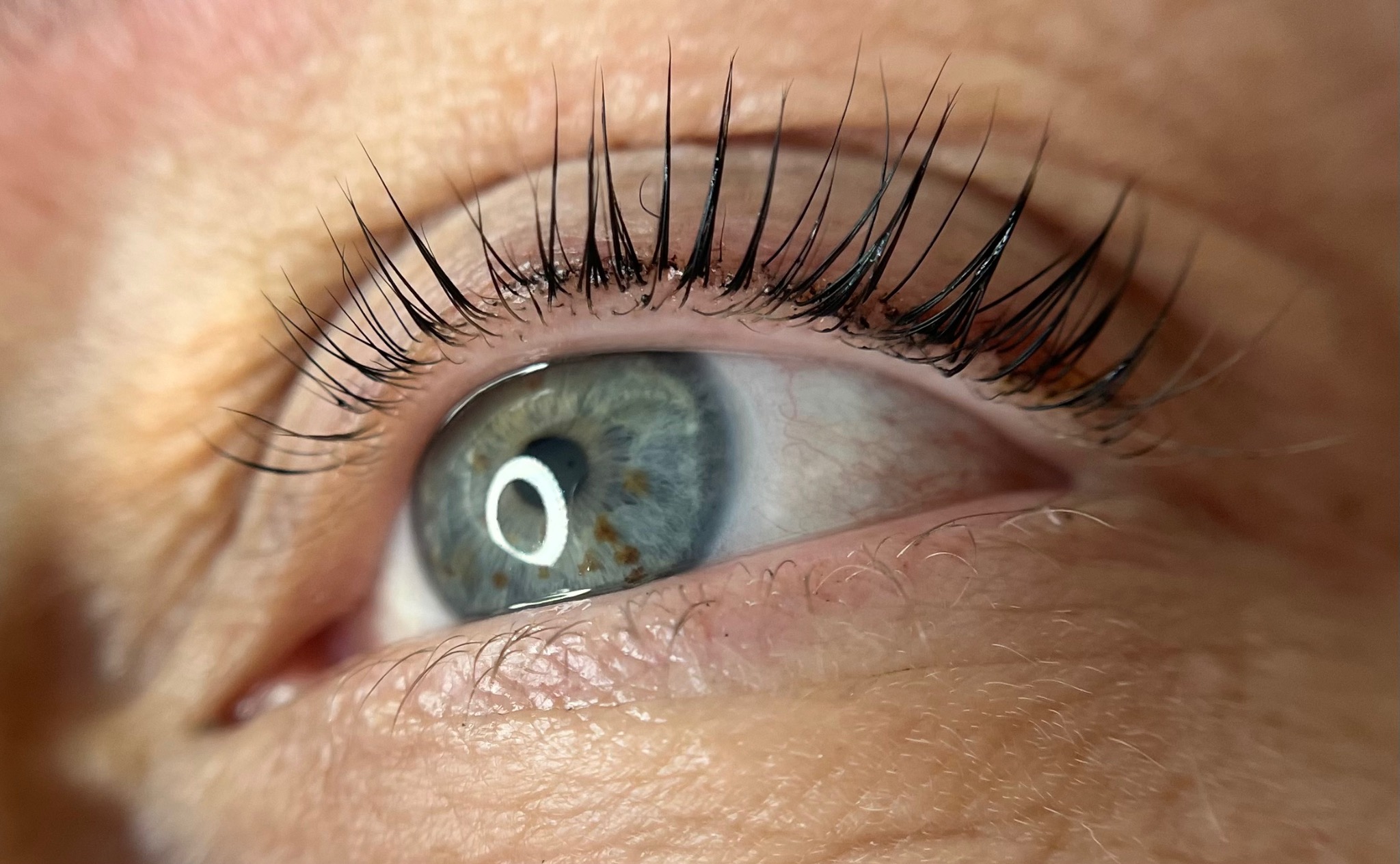 Zbliżenie na oko z widocznymi, profesjonalnie przedłużonymi, czarnymi rzęsami, podkreślającymi niebiesko-szary kolor tęczówki.