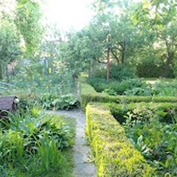 Pielęgnacja ogrodów Maksymilianowo 2