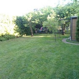 Pielęgnacja ogrodów Maksymilianowo 3