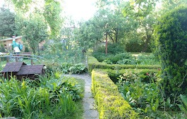 Uporządkowany ogród z równo przyciętym żywopłotem, ścieżką z płyt i bujną roślinnością, widoczne drzewa owocowe w tle.