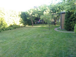 Świeżo skoszony trawnik z widocznymi śladami po kosiarce, otoczony zielenią, z małym drzewkiem owocowym na środku i domkiem narzędziowym w tle.