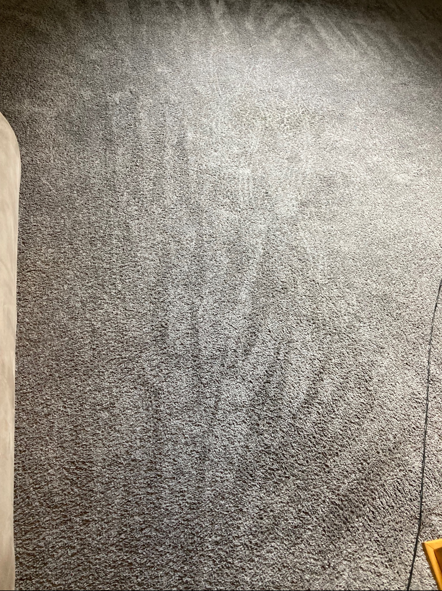 Szczegółowe ujęcie wyczyszczonego, szarego dywanu w Szczecinie. Widoczne ślady po odkurzaczu, świadczące o świeżo wykonanej usłudze.