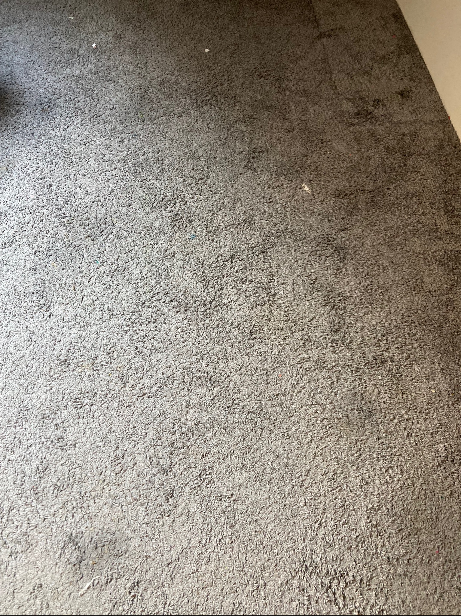 Szary, teksturowany dywan z widocznymi plamami i zabrudzeniami, ukazujący potrzebę odświeżenia. Fragment ściany w prawym górnym rogu kadru.