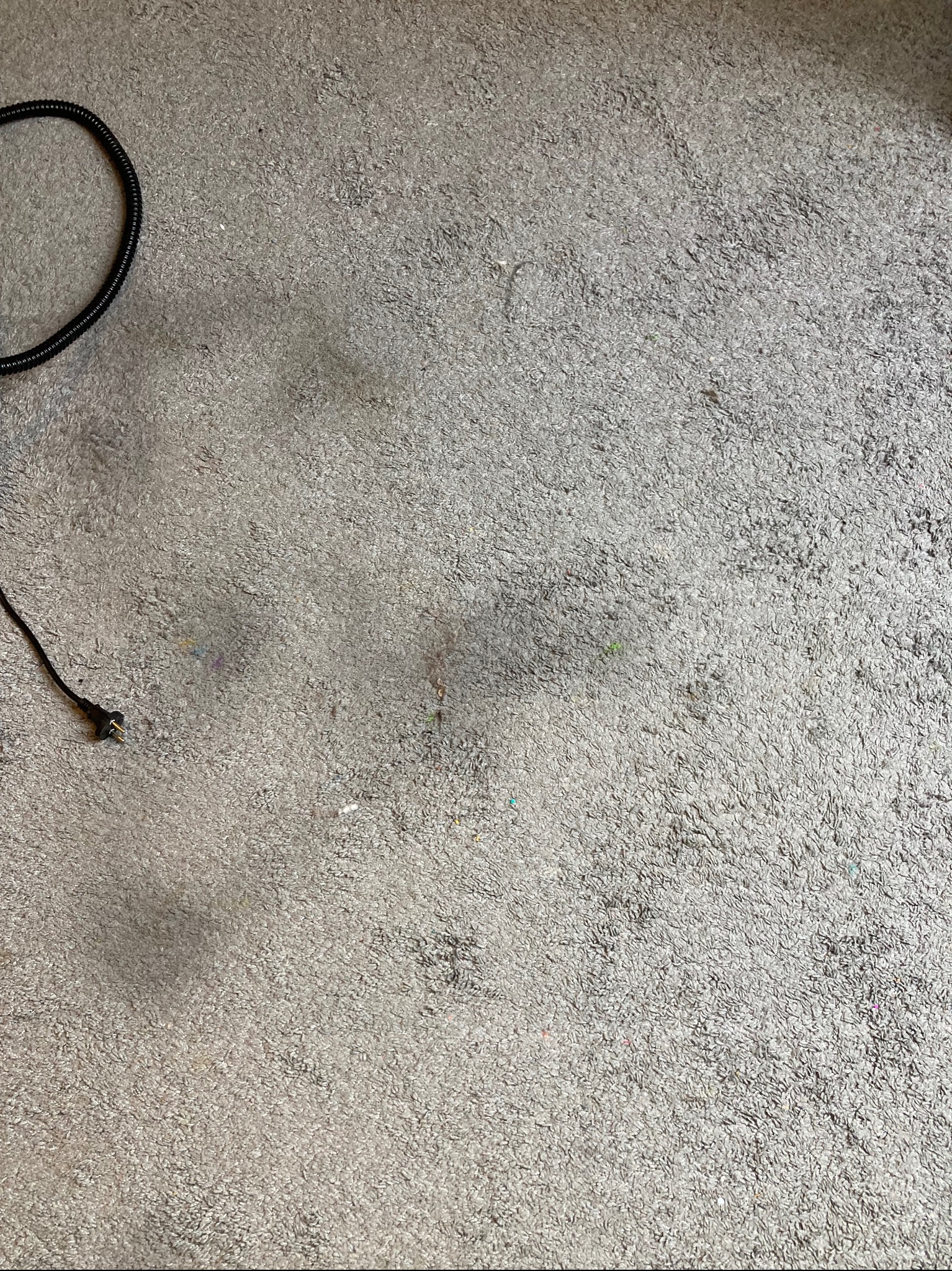 Szary dywan z długim włosiem, widoczny fragment węża odkurzacza i wtyczka, sugerujące etap czyszczenia.