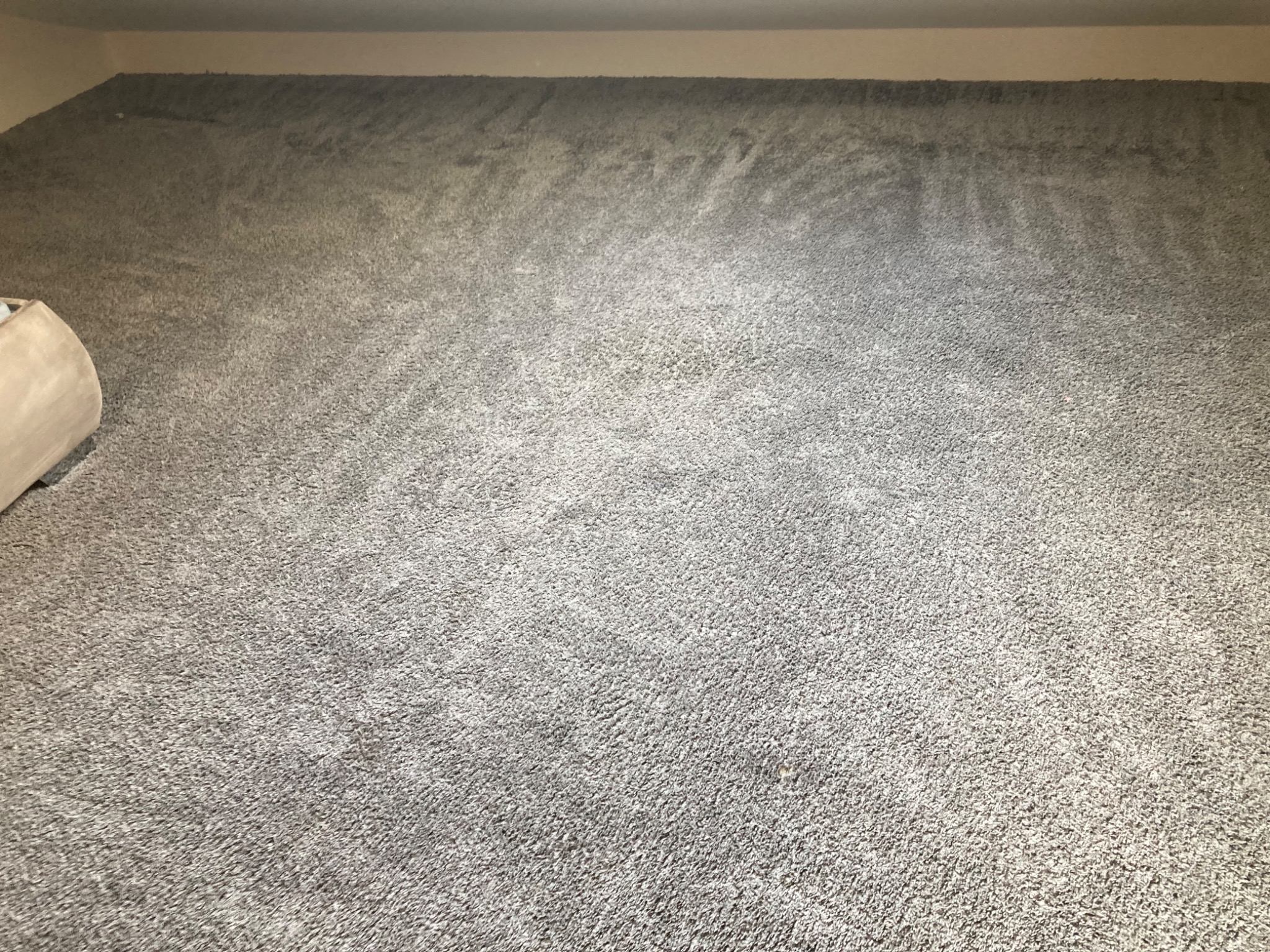 Jasnoszary dywan z krótkim włosiem, po profesjonalnym czyszczeniu, widoczne ślady odkurzania i delikatne cieniowanie. W rogu fragment sofy.