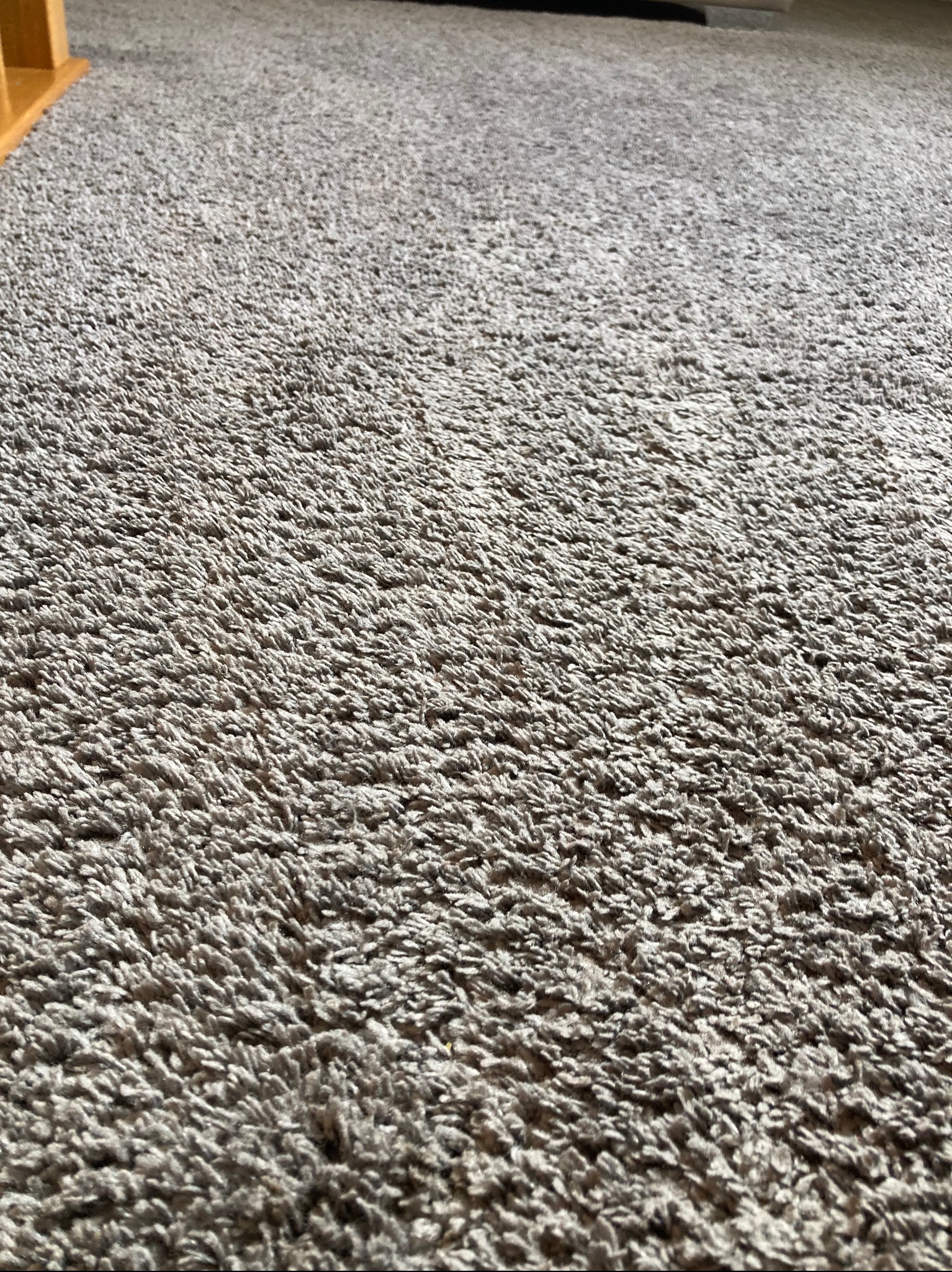 Szczegółowe zbliżenie na szary dywan typu shaggy, z widoczną strukturą włókien i delikatnym cieniowaniem. Fragment mebla w tle dodaje kontekstu wnętrza.