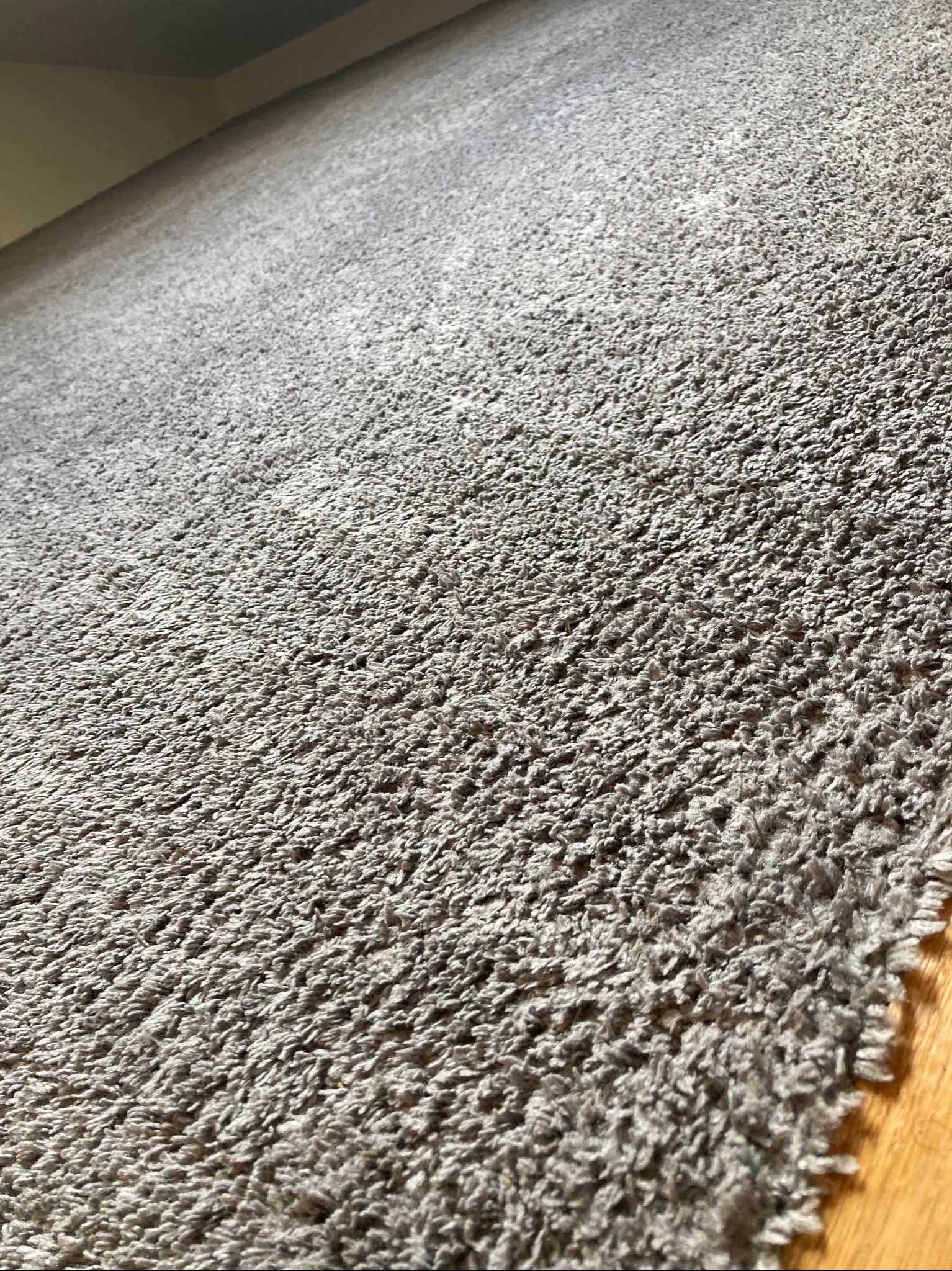 Szary dywan z włókien na podłodze z drewna, ukazujący teksturę i gęstość runa, z perspektywą od dołu do góry, oświetlony naturalnym światłem.