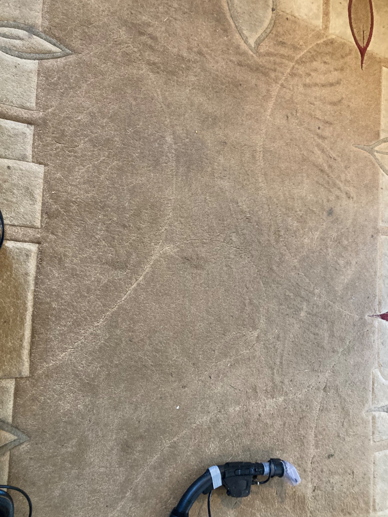 Fragment brudnego dywanu z widoczną końcówką odkurzacza piorącego, gotowego do użycia. Wzór dywanu z motywem roślinnym.