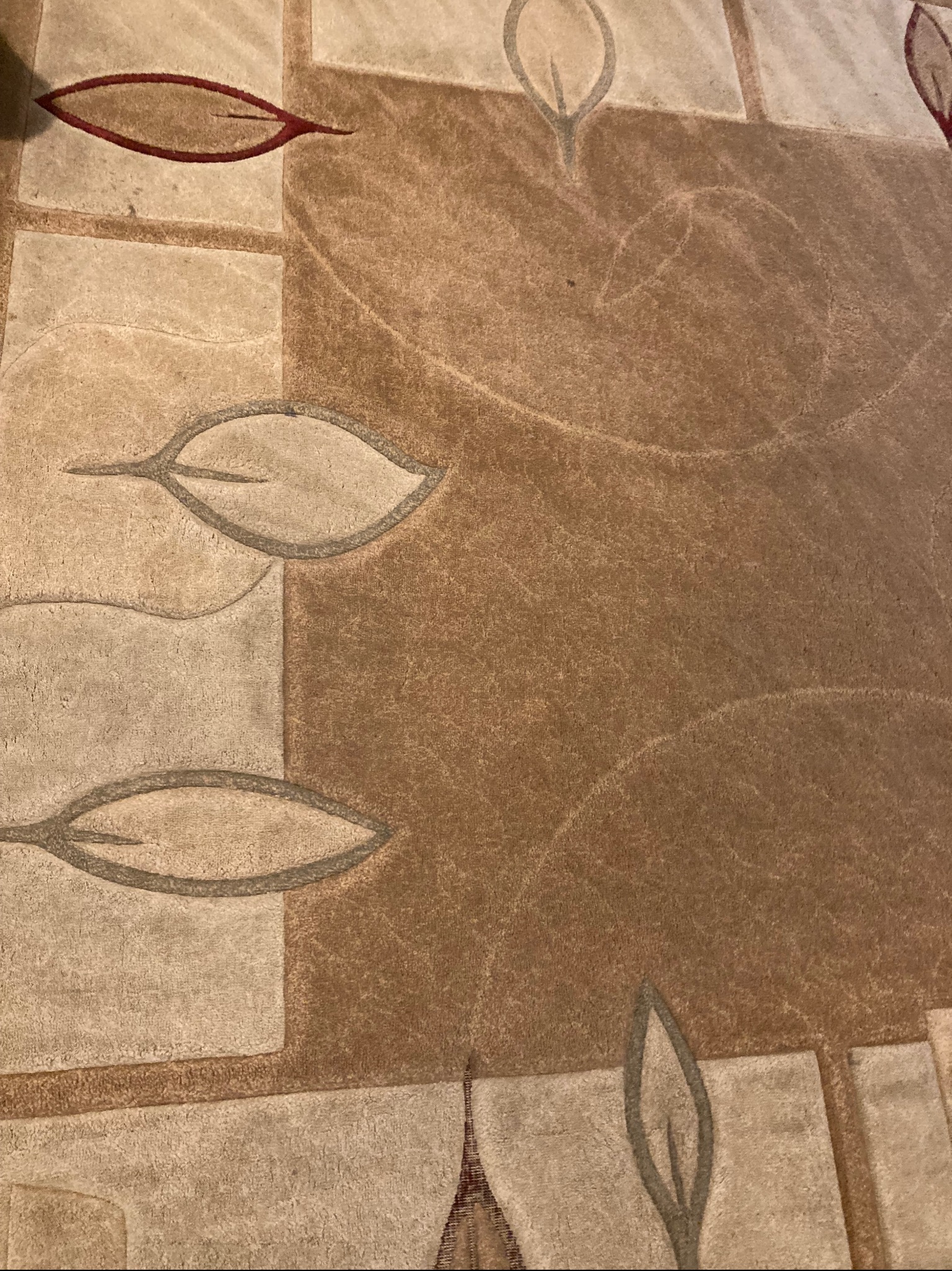 Beżowy dywan z geometrycznym wzorem liści i kwadratów, ukazujący detale tekstury i kolorystyki. Widok z góry, wypełniający kadr.