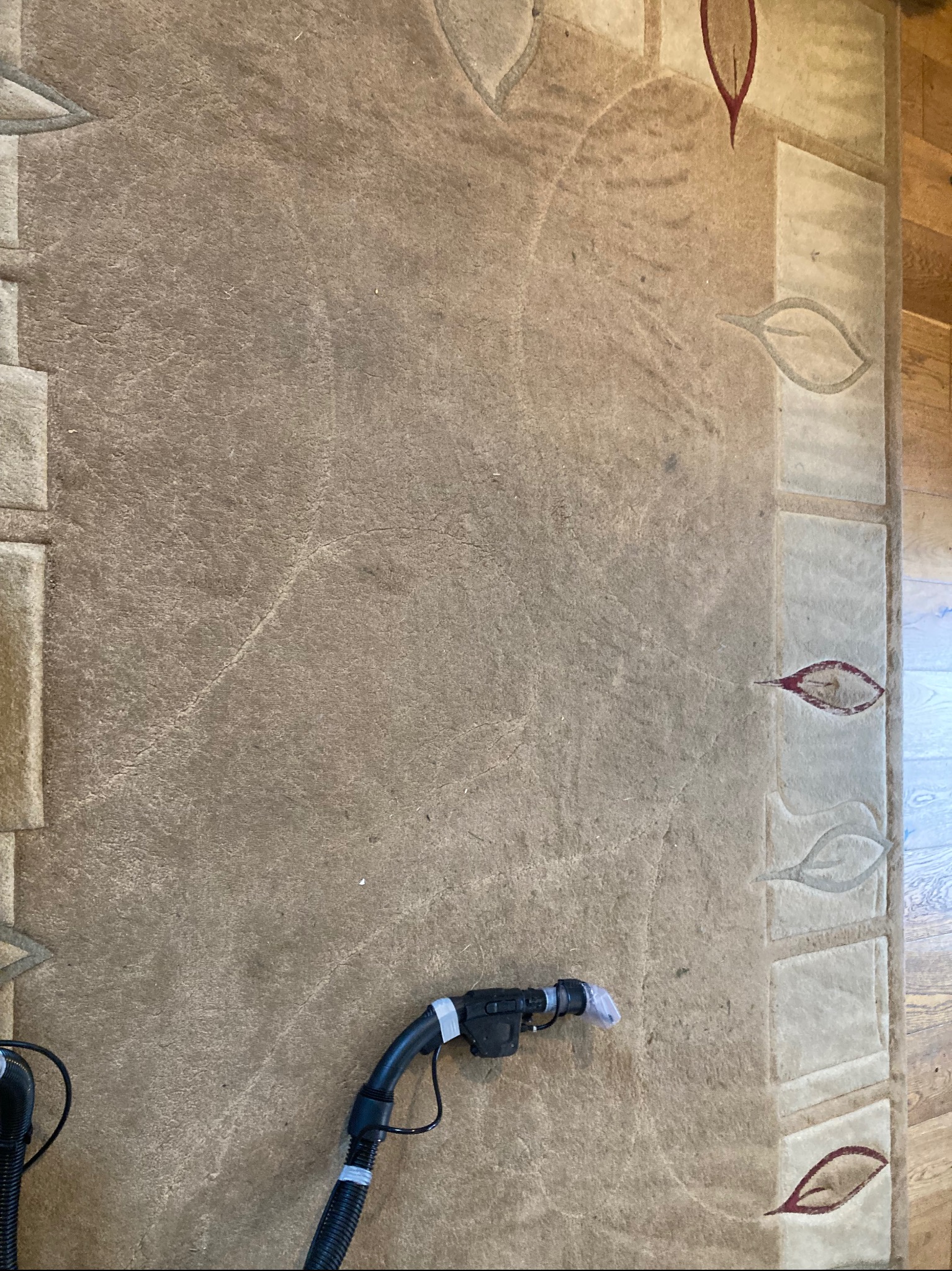 Dywan z wzorem liści w trakcie czyszczenia. Widoczny fragment parkietu i dysza odkurzacza piorącego. Ujęcie z góry.