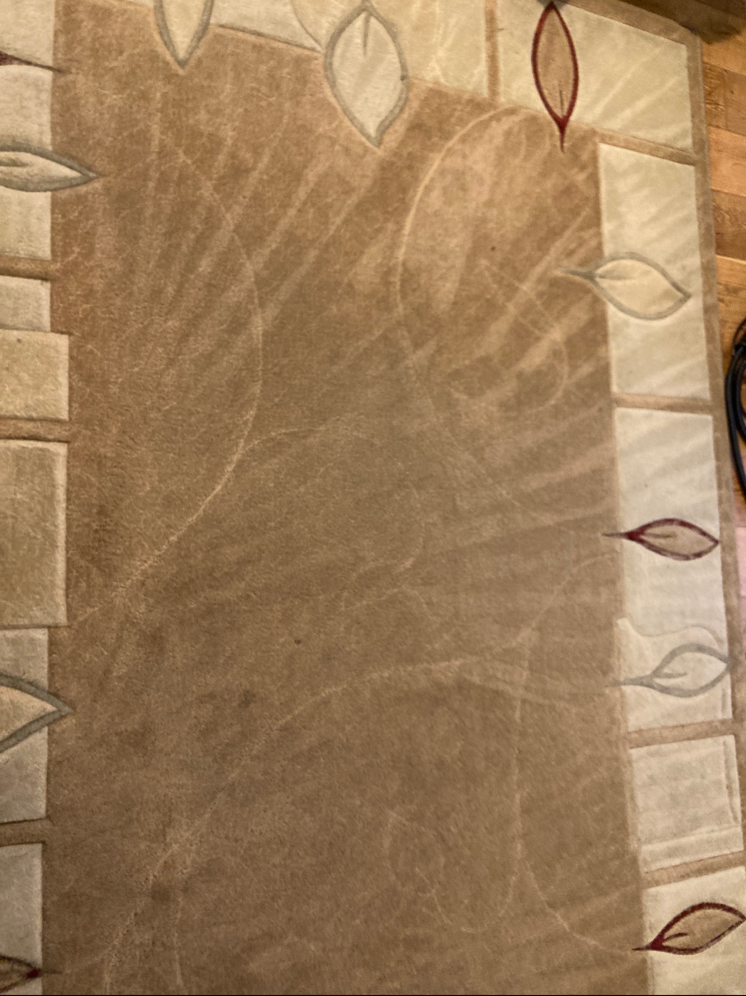 Beżowy dywan z wzorem liści przed czyszczeniem, widoczne ślady użytkowania i zabrudzenia. Jasne obramowanie z motywem liści wzdłuż krawędzi.